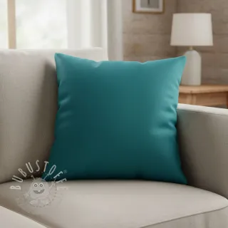 CANVAS petrol