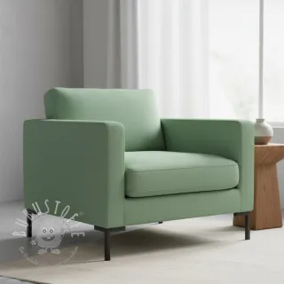 CANVAS mint
