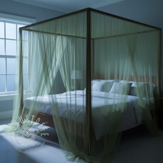 Feintüll olive 160 cm