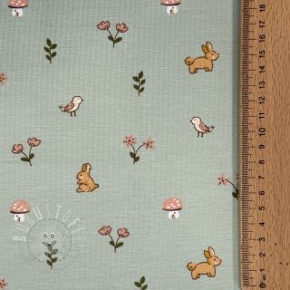 Jersey Bunnies sage ORGANIC