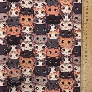 Jersey Cats digital print