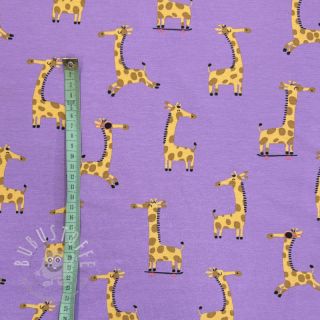 Jersey Giraffes lavender