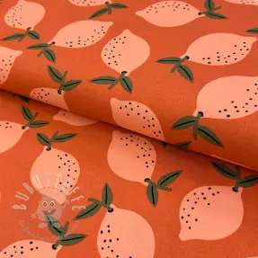 Dekostoff Fruits design F