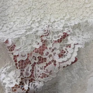 Spitzen Scallop off white