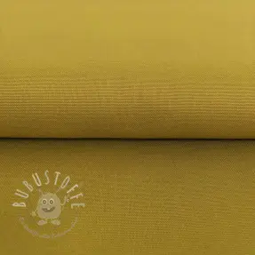 CANVAS curry