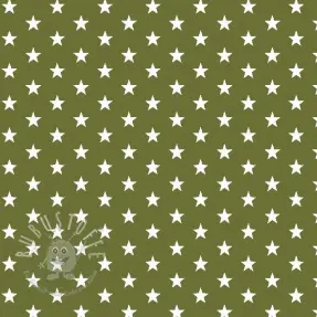 Baumwollstoff Petit stars green