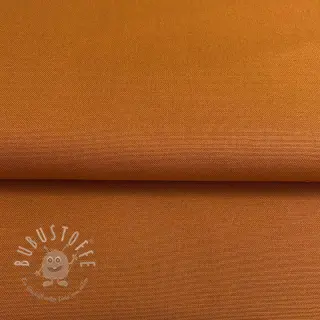CANVAS rust