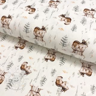 Jersey Snoozy fabrics Cute badger digital print