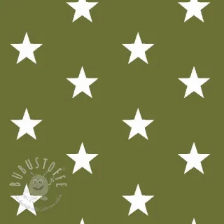 Baumwollstoff Stars green