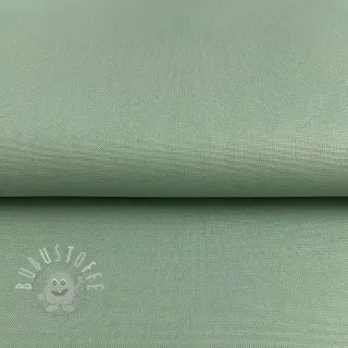 CANVAS old green