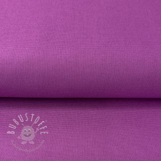 CANVAS violet