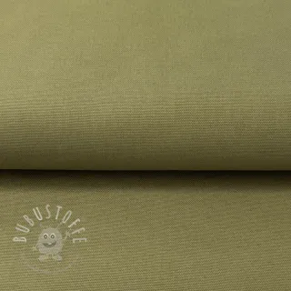 CANVAS olive