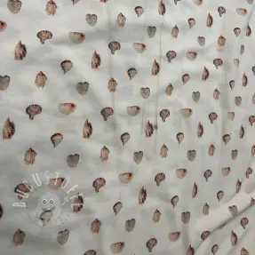 Jersey Baby Seashells digital print 2.Klasse
