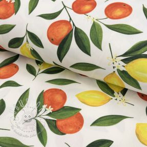 Outdoor Dekostoff mit Teflon-Finish Citrus Fruit