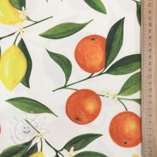 Outdoor Dekostoff mit Teflon-Finish Citrus Fruit