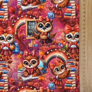 Sweatstoff Big eyes design A digital print